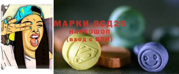 стаф Алексин