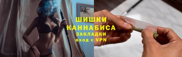 ПСИЛОЦИБИНОВЫЕ ГРИБЫ Алзамай