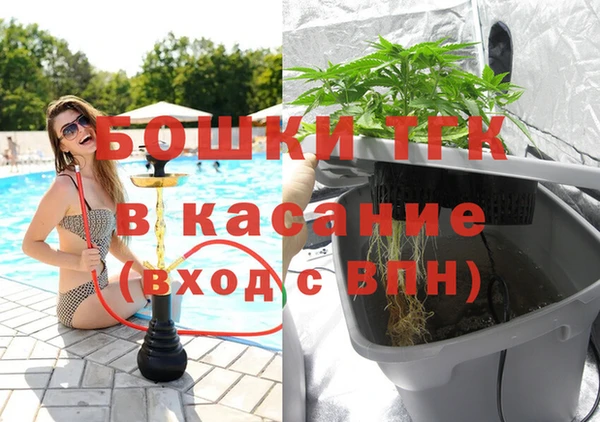 ПСИЛОЦИБИНОВЫЕ ГРИБЫ Алзамай