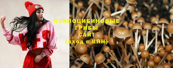 тгк Алексеевка