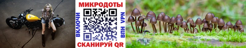 Псилоцибиновые грибы Cubensis  ОМГ ОМГ   Бирск  наркотики 